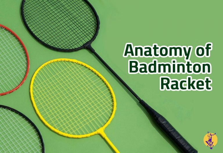Anatomy of Badminton Racket